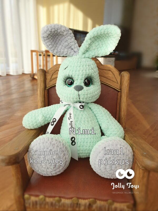 20221119_114150_1668851860010 Personalised mint bunny with different ears color - Image 2