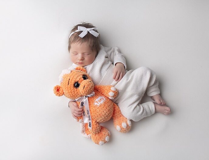 1 (4)s The orange dragon is the symbol of the year 2024 - Image 1