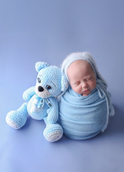 Sinine karu beebi kingitus