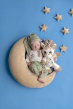 nimeline mänguasi hobune 2026.aasta sümbol Katsikukingitus head ööd