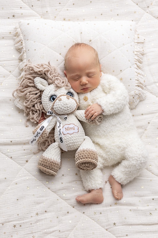 Tere tulemast Jolly Toys maailma, kus iga mänguasi sünnib südame ja hoolega! Meie uus käsitsi heegeldatud hobune on loodud 2026. aastaks-hobuse aastaks, mis süm